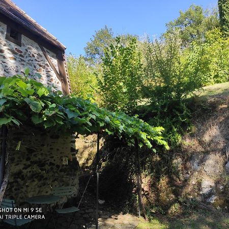 Gagnac-sur-CereMon Bois别墅 外观 照片